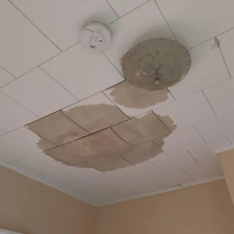Ceiling Water Damage Repair in Terryville, NY